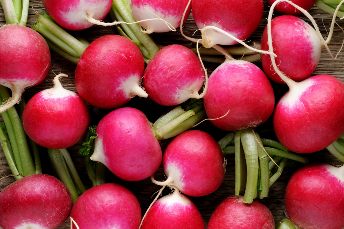 Champion Radish Seeds | Organic Non-GMO | Raphanus sativus | Fast-Growing Vegetable for Home Garden
