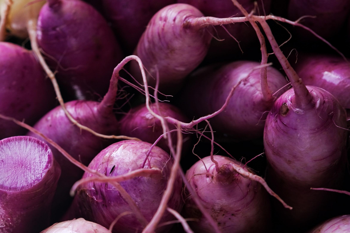 Purple Plum Radish Seeds - 300+ Non-GMO Heirloom Seeds - Raphanus sativus - Vibrant Color for Home Gardening