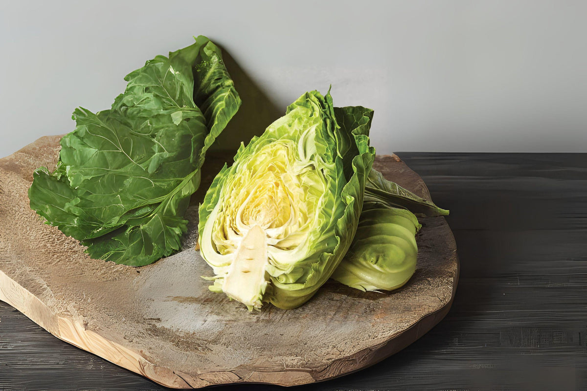 Cabbage Seeds - 250 Count - Early Jersey Wakefield Heirloom - Sweet & Tender - Brassica oleracea