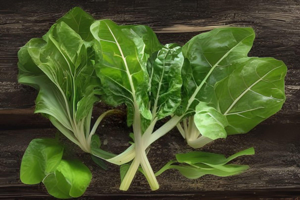 1g Seeds Swiss Chard Fordhook | Heirloom Vegetable | Tender Greens & Colorful Stalks | Beta vulgaris var. cicla