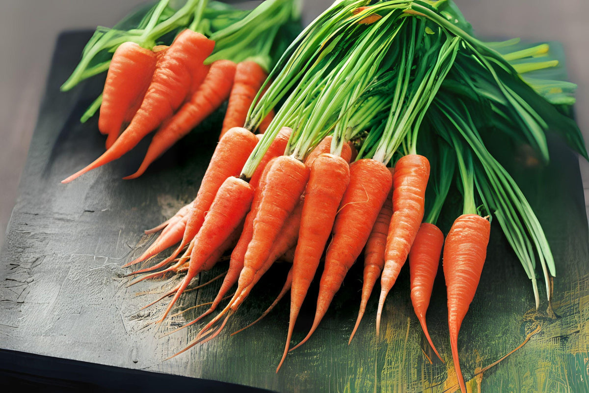 Chantenay Red Cored Carrot Seeds - Heirloom Variety, Sweet & Crunchy - Daucus carota
