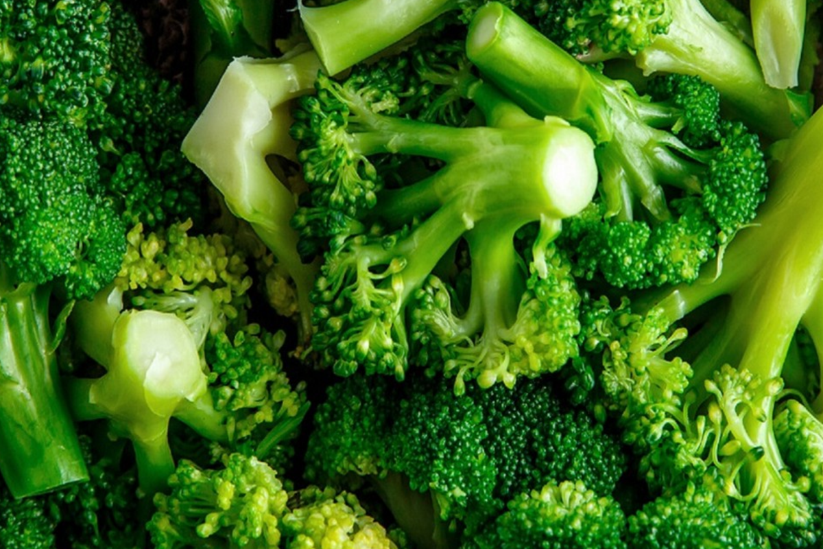 1000 Waltham 29 Broccoli Seeds - Non-GMO Heirloom, Cold Hardy, Spring & Fall Planting, Brassica oleracea var. italica
