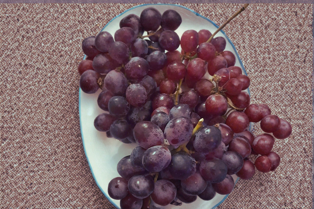 Red Globe Grape Vine 1 Gallon Live Plant - Table Grape, Vitis vinifera - Ideal for Home Garden Trellis and Full Sun Growing