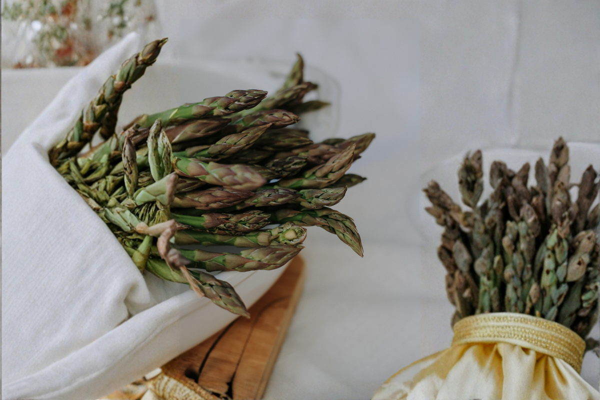 Purple Passion Asparagus Crowns - 5 Bare Root - Edible Perennial Vegetable - Asparagus officinalis 'Purple Passion'