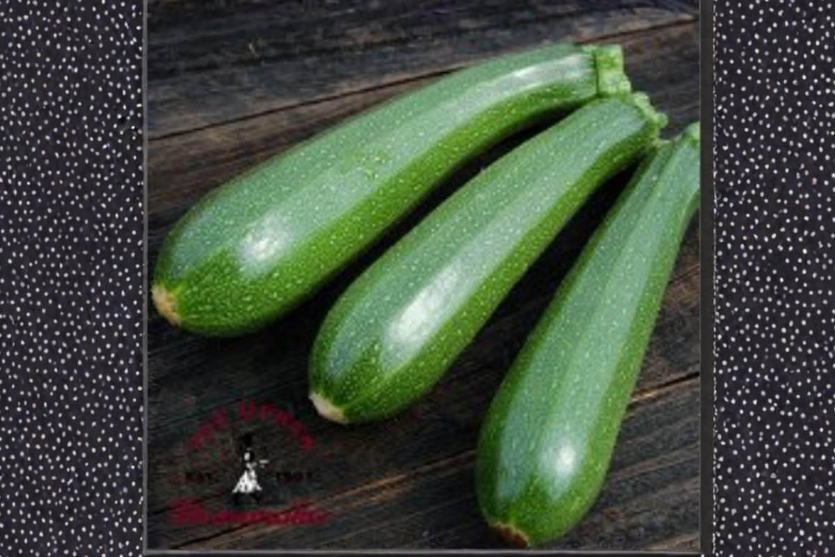 Dwarf Zucchini Seeds 40 Pack Compact Summer Squash Cucurbita pepo for Container Gardening and Vegetable Gardens