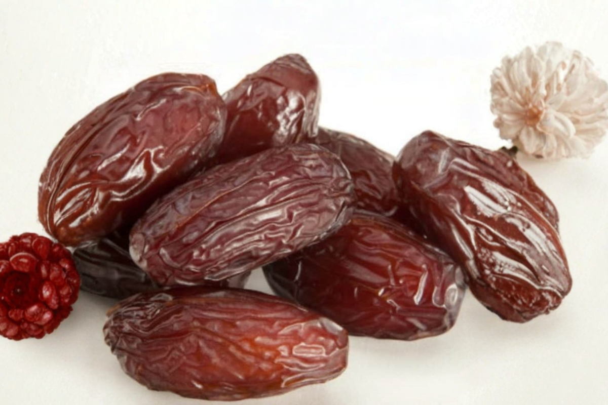 Medjool Date Palm Seeds - 8 Rare Tropical Fruit Tree Seeds - Phoenix dactylifera - Ideal for Garden and Container Planting