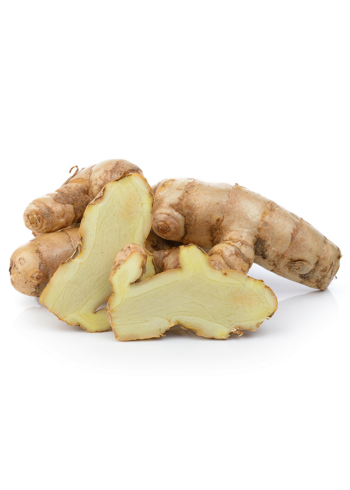 White Turmeric Plant - Curcuma zedoaria - Perennial Herb for Container Gardening - Edible and Ornamental Foliage