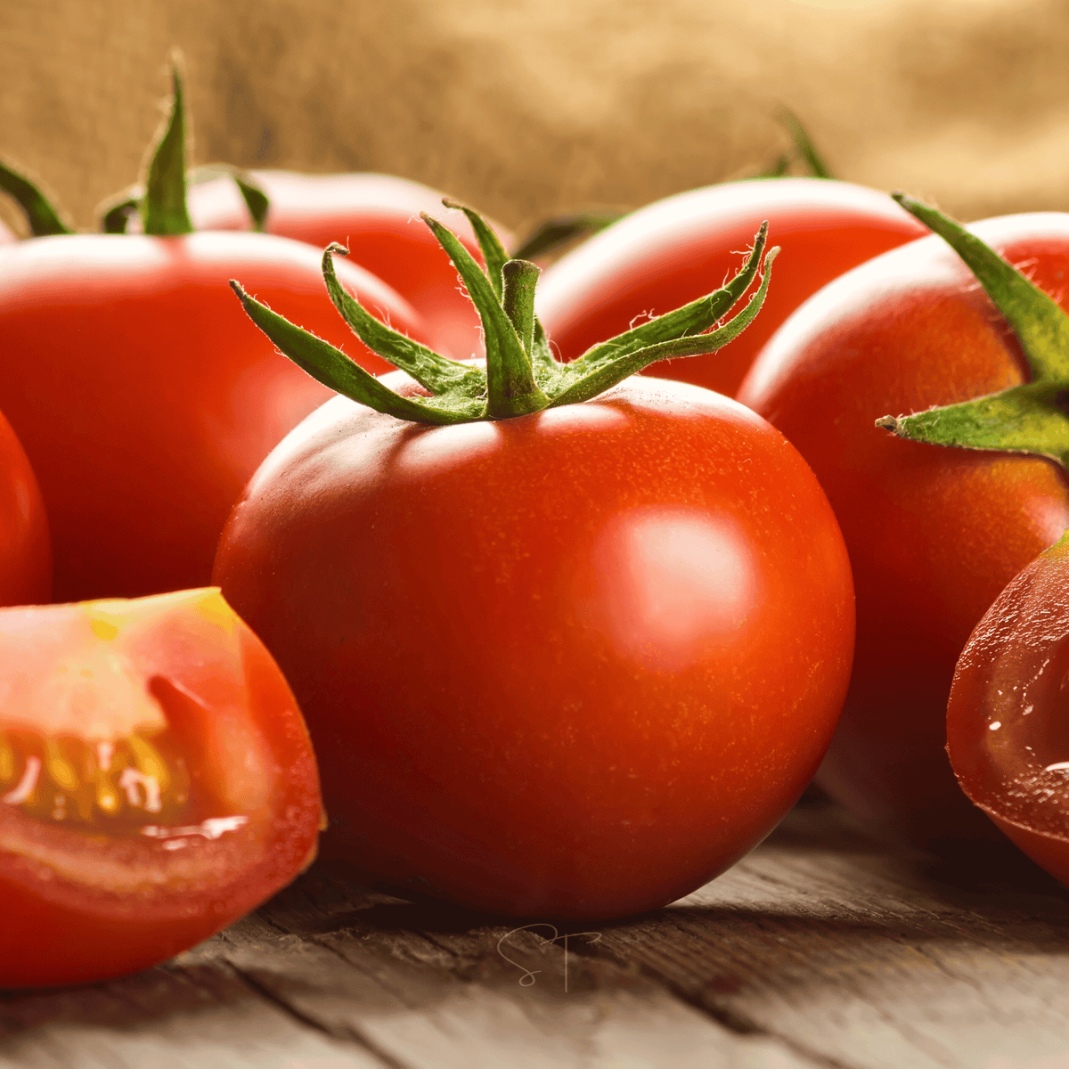 Ace 55 Tomato Seeds - 50 Pack - Heirloom Variety - Solanum lycopersicum