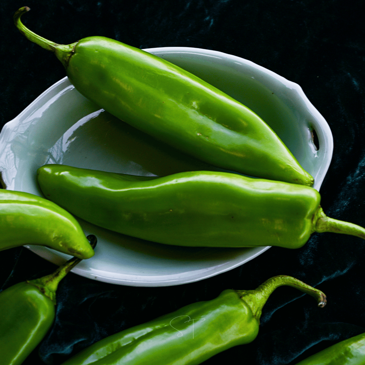 Anaheim Chili Pepper Seeds - 25 Count - Capsicum annuum - Mild Heat, Great for Cooking
