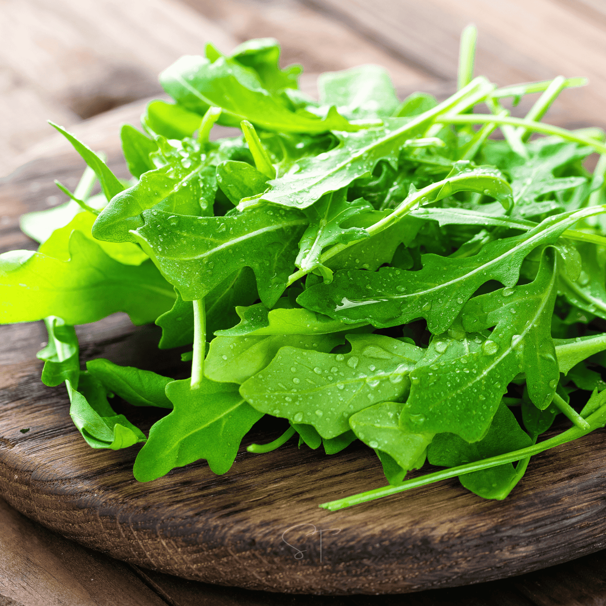 Arugula Seeds - 200 Count - Organic Salad Green - Eruca sativa