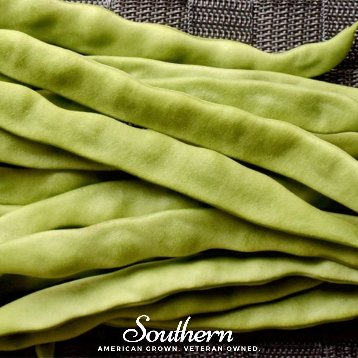 Roma II Bean Seeds - 30 Pack - Bush Bean Variety - Phaseolus vulgaris