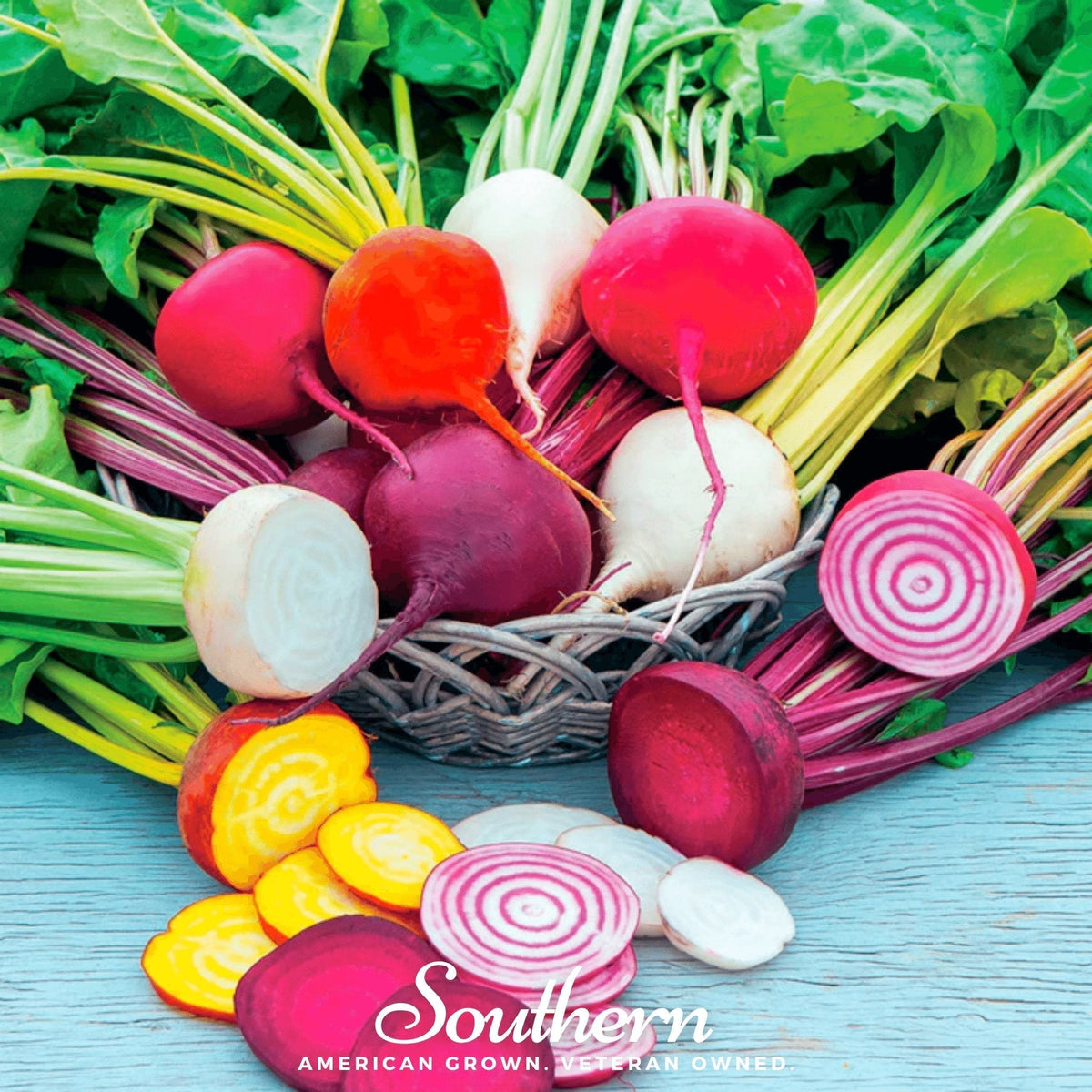 Gourmet Blend Beet Seeds - 50 Pack - Colorful Beet Varieties - Beta vulgaris