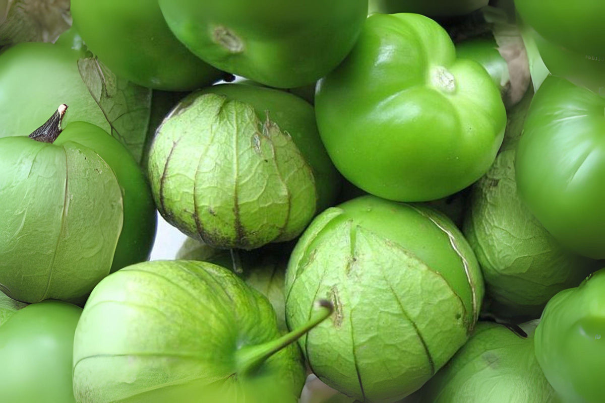 Tomatillo Verde Seeds 100 mg | Heirloom Vegetable for Home Garden | Green Salsa Tomatillo (Physalis ixocarpa)