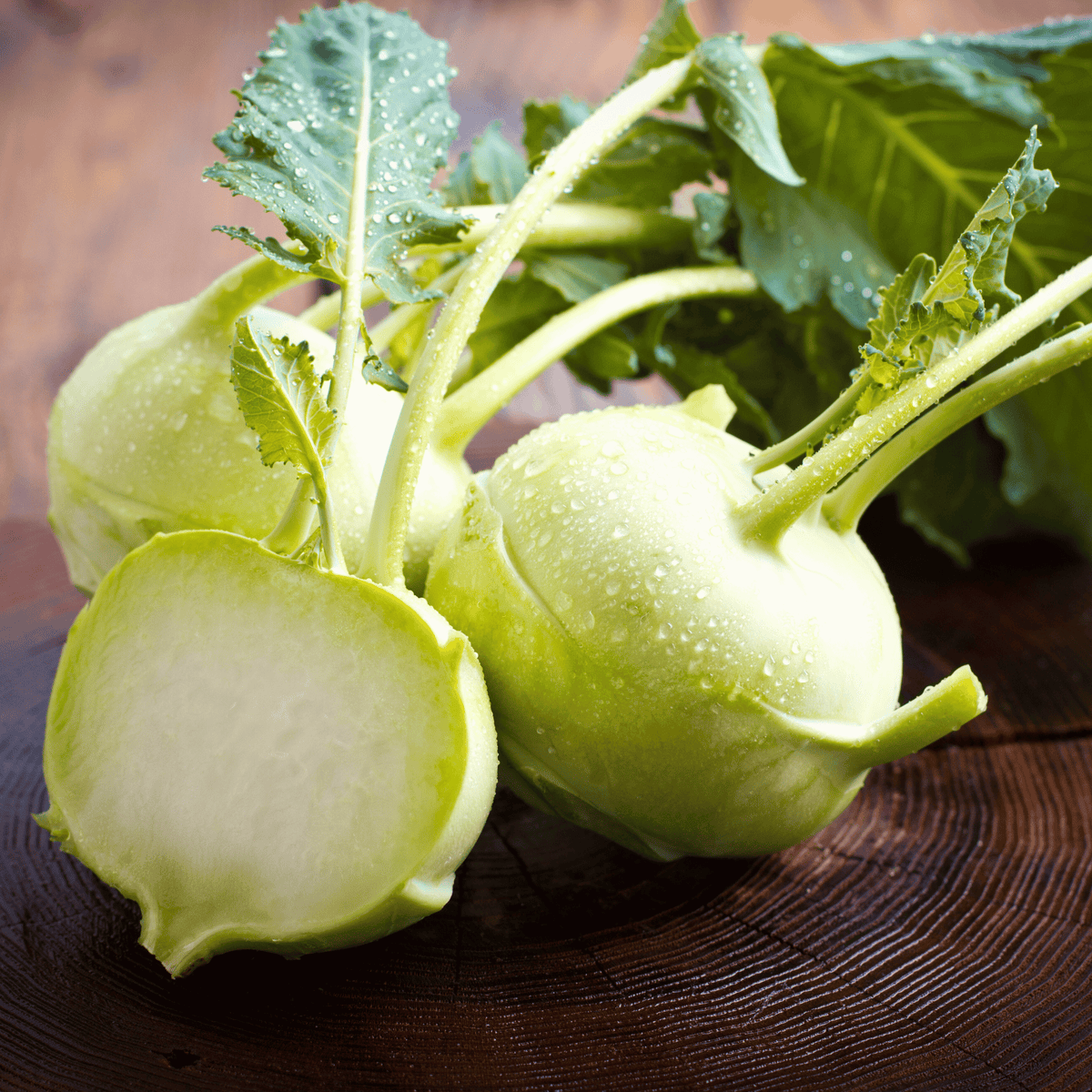 Early White Vienna Kohlrabi Seeds - 100 Count - Brassica oleracea var. gongylodes - Heirloom Vegetable Seeds