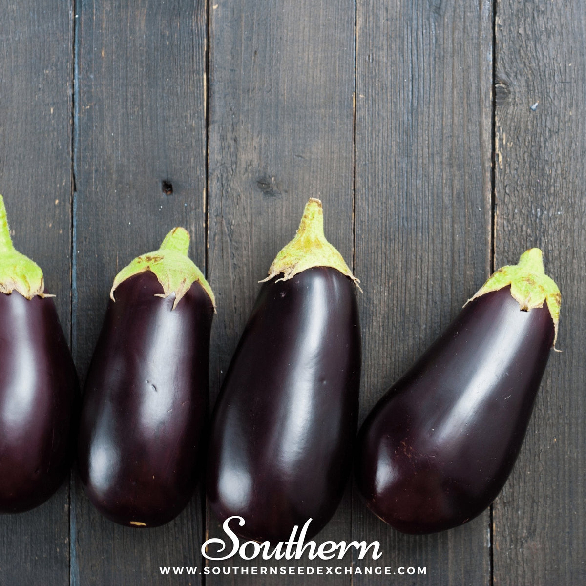 Black Beauty Eggplant Seeds - 50 Pack - Heirloom Vegetable Seeds - Solanum melongena