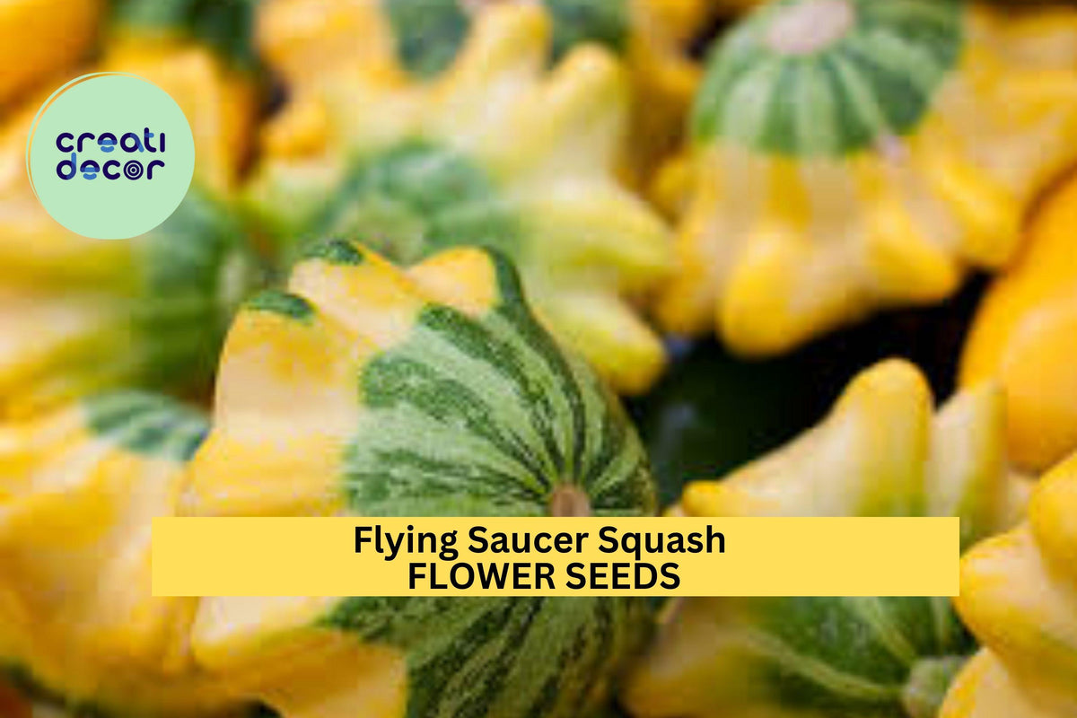 Flying Saucer Squash Seeds - 25+ Yellow & Green Pattypan Seeds - Cucurbita pepo - Edible Summer Vegetable for Garden Planting