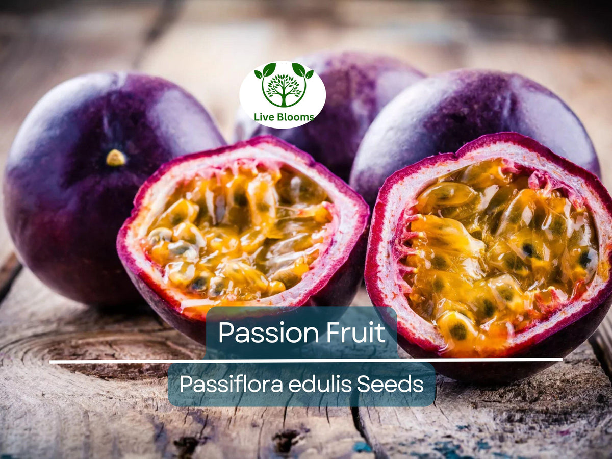 10 Purple Passion Fruit Seeds | Passiflora edulis | Fast Growing Edible Vine | Tropical Hardy Fruit for Gardens & Patios