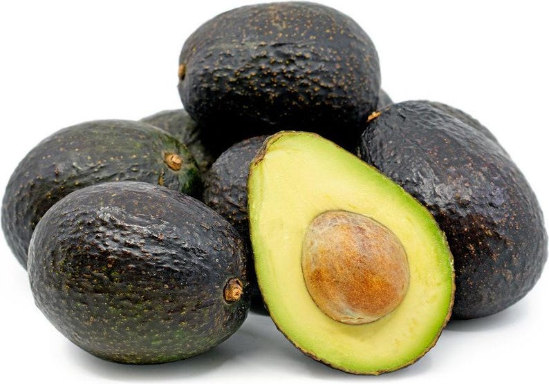 Hass Avocado Tree - 1ft Grafted Plant - Persea americana - Live Plant Ships in Plastic Bag - Ideal for Home Gardeners