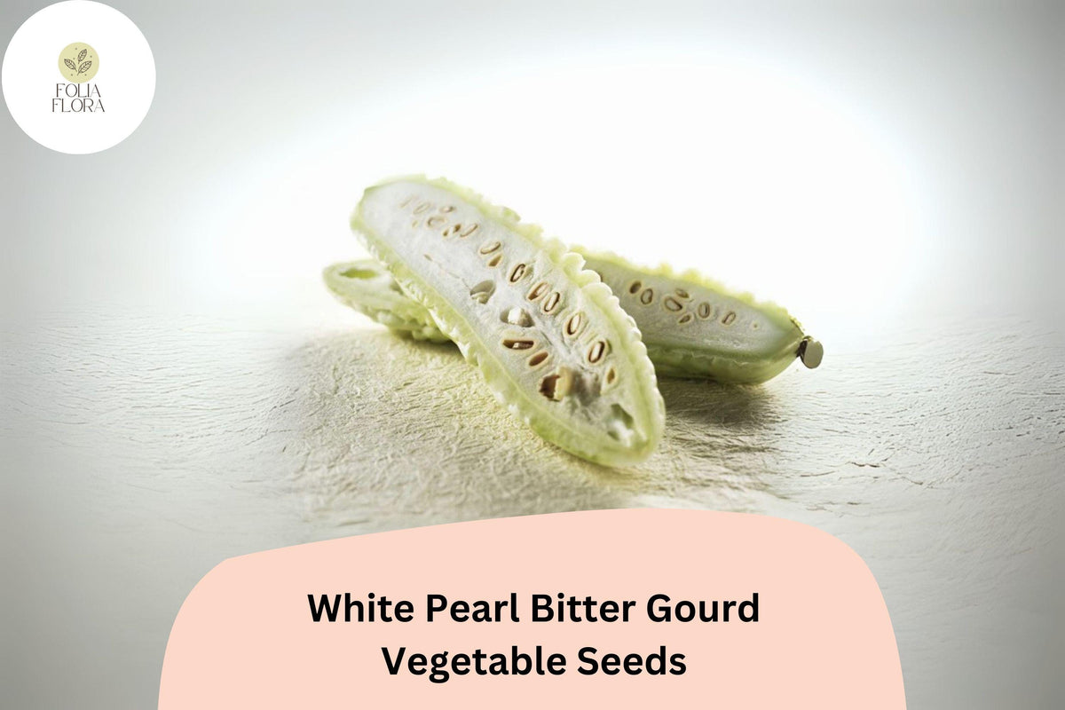 White Pearl Bitter Gourd Seeds – Rare Non-GMO Melon for Garden