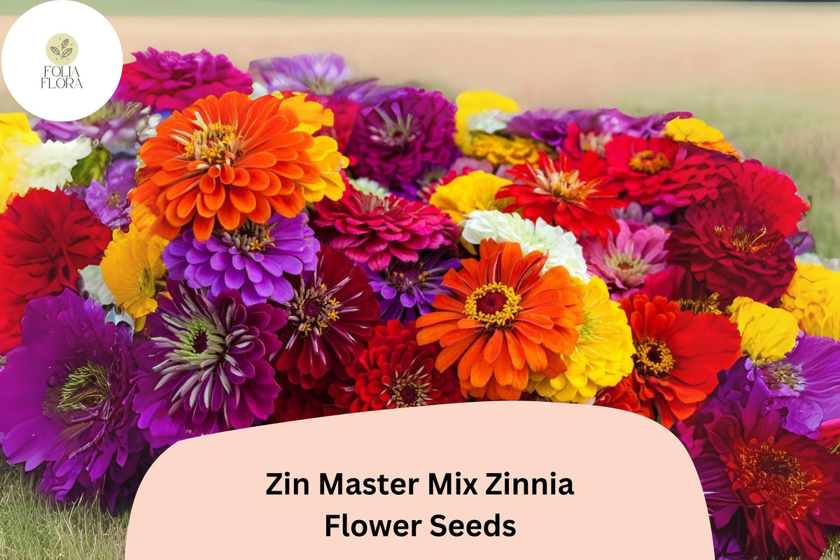 Zin Master Mix Zinnia Seeds: Heirloom Non-GMO Annual Flowers