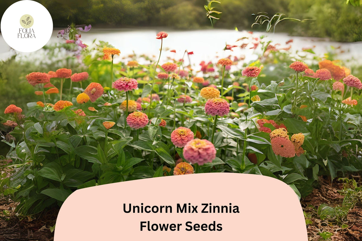 Unicorn Mix Zinnia Seeds – Pastel & Bright Blend, Non-GMO