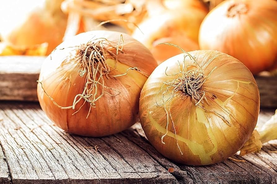 100 Seeds Walla Walla Sweet Onion, Large Mild Onions, Allium cepa, Garden Favorite for Salads & Grilling