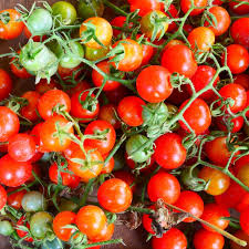 Matt's Wild Cherry Tomato Seeds | 25 Seeds | Heirloom, Sweet Flavor, Prolific | Solanum Lycopersicum