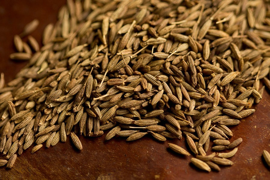 Cumin Seeds 250 Count - Aromatic Spice Herb for Cooking, Cuminum cyminum - Easy to Grow Culinary Essential