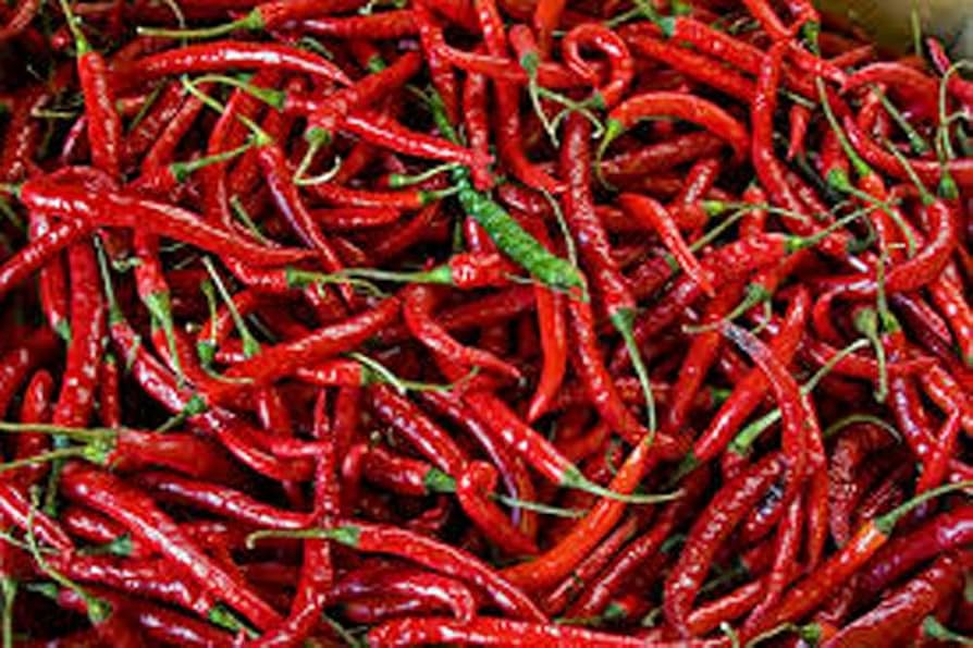 30 Seeds Cayenne Long Thin Pepper, Capsicum Annuum, Spicy Chili for Cooking and Drying, Versatile Culinary Use
