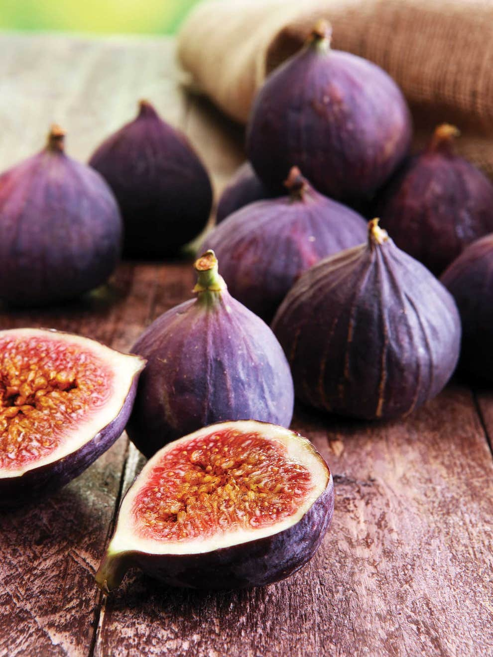 6 Violette de Bordeaux Fig Cuttings for Propagation, Purple-Black Fruit, Ficus carica ‘Violette de Bordeaux’, Dwarf Tree