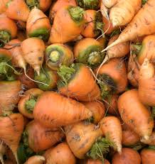 200 Seeds Oxheart Carrot - Heirloom, Short Thick Roots, Sweet Flavor, Daucus carota, Ideal for Heavy Soils