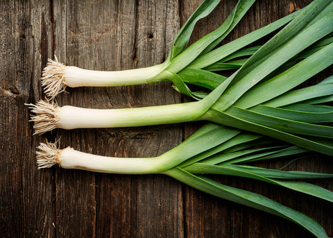 American Flag Leek Seeds - 200 Heirloom, Cold-Hardy, Allium ampeloprasum for Soups, Gourmet Cooking, and Extended Harvest