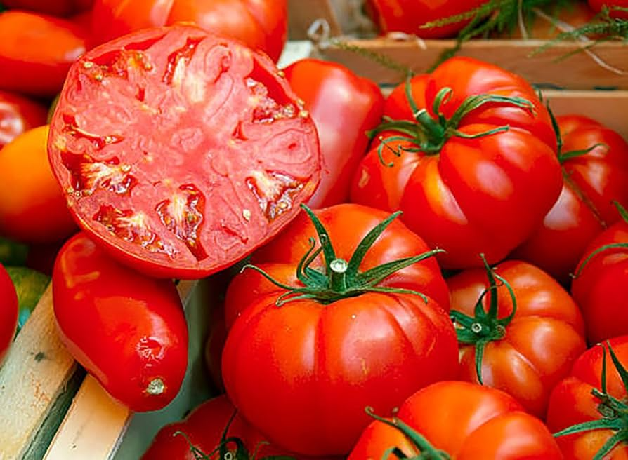 Beefsteak Tomato Seeds 300mg - Heirloom Variety, Juicy Red, High Yield for Slicing - Solanum lycopersicum