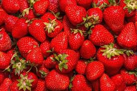 Jewel Strawberry Plants - Bare Root, High-Yielding, Sweet Berries - Fragaria x ananassa - Perfect for Home Gardens