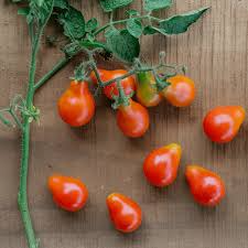 Tomato Seeds 100mg Floradel Heirloom Solanum lycopersicum Non-GMO Disease Resistant Large Round Fruits Garden Staple