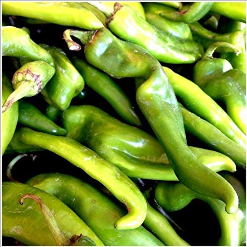 Hatch Rattlesnake Pepper Seeds - 25 Heirloom Seeds - Spicy & Smoky - Capsicum annuum - Ideal for Containers & Gardens