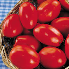 30 Seeds San Marzano Short Vine Tomato, Indeterminate Heirloom, Lycopersicon Esculentum, Meaty Red Fruits for Sauces