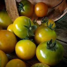 Fat Frog Micro Dwarf Tomato Seeds - 15 Heirloom Non-GMO Seeds, Compact & High-Yield, Solanum lycopersicum