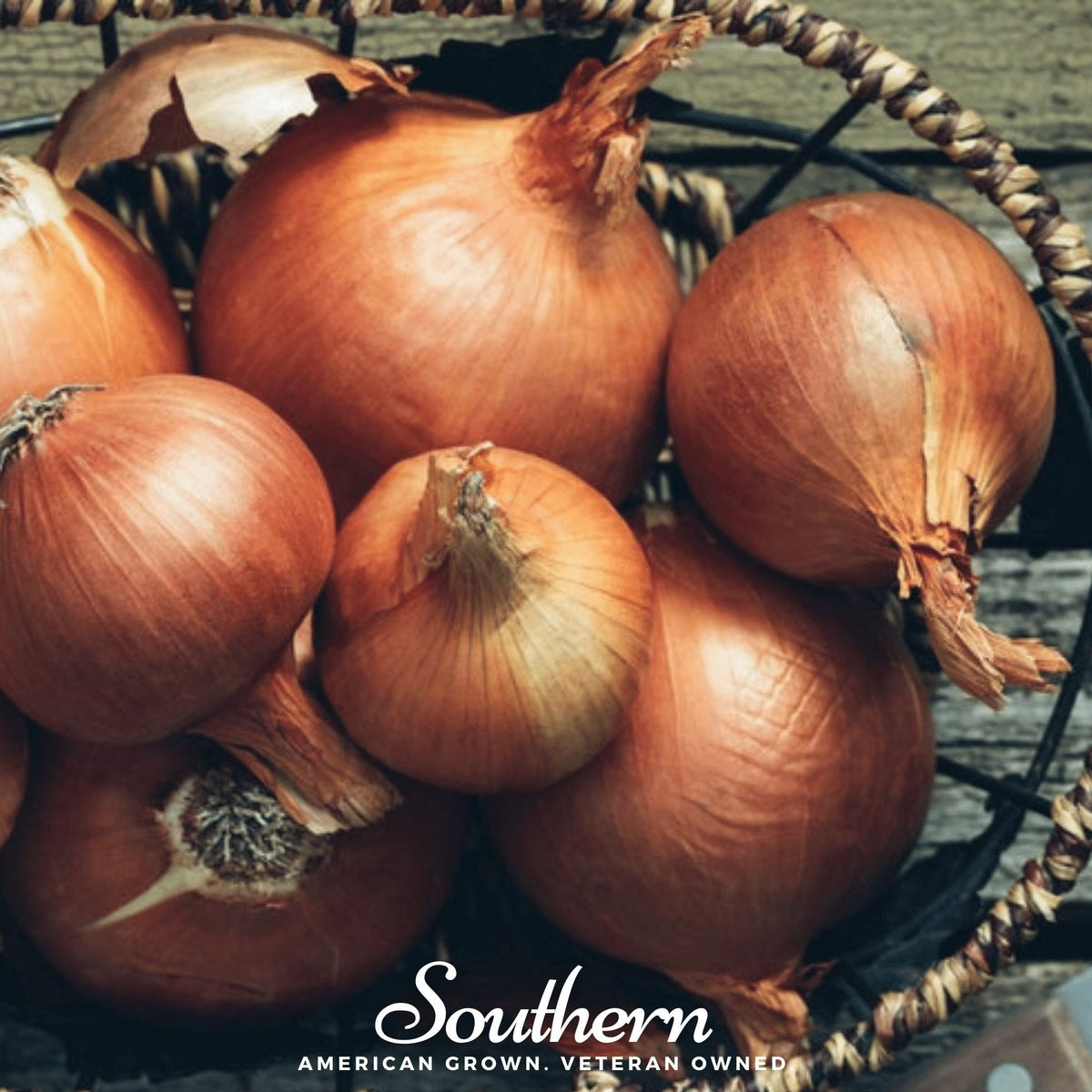 Spanish Yellow Sweet Onion Seeds - 200 Count - Allium cepa - Heirloom Variety for Home Gardening