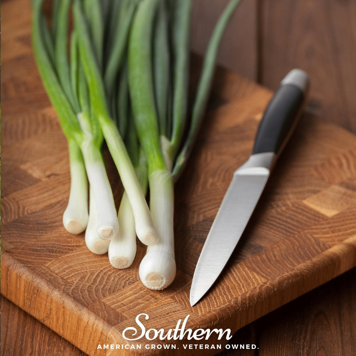 Tokyo Long White Onion Seeds – 200 Count – Allium fistulosum – Ideal for Home Gardening and Culinary Use