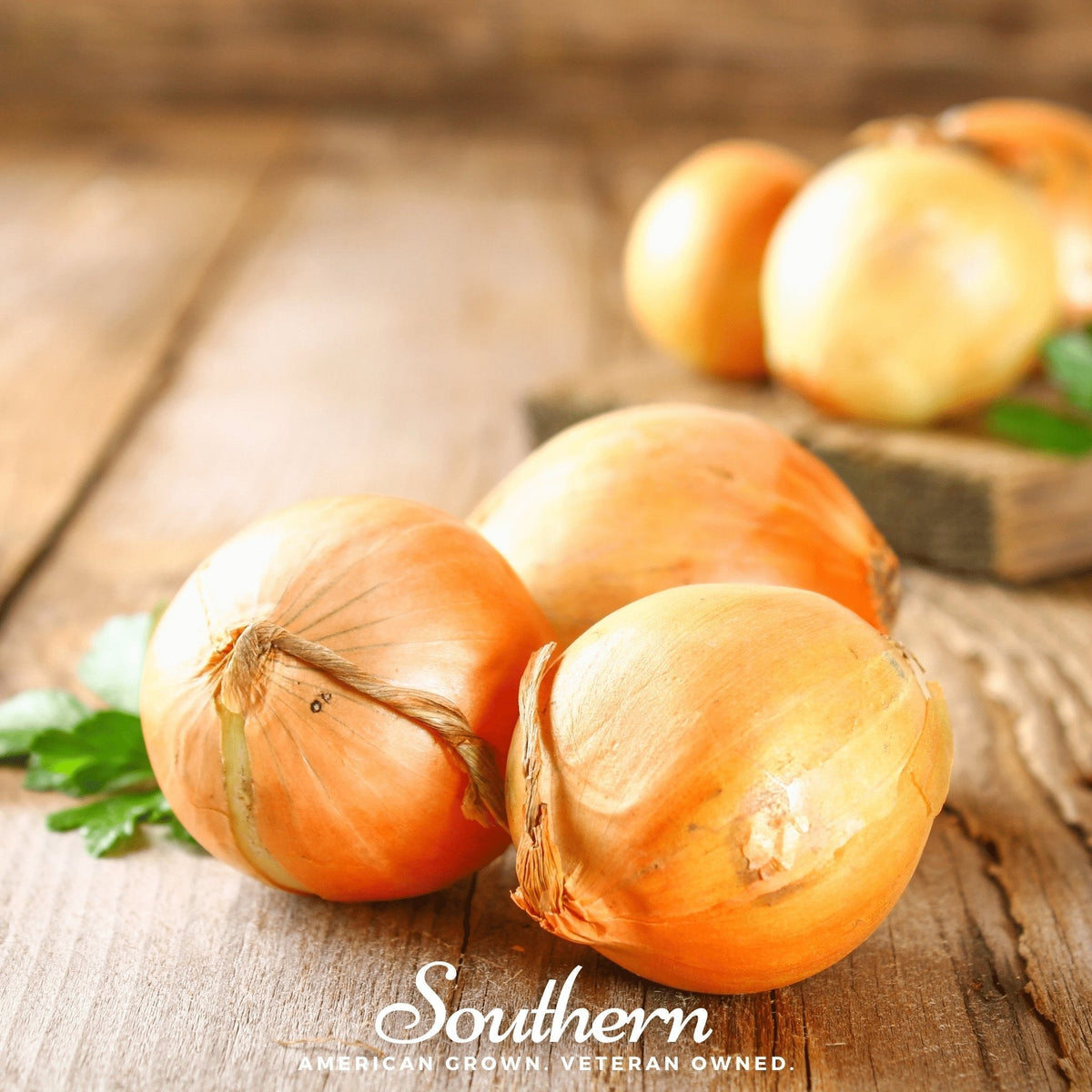 Utah Yellow Sweet Spanish Onion Seeds - 200 Pack - Allium cepa