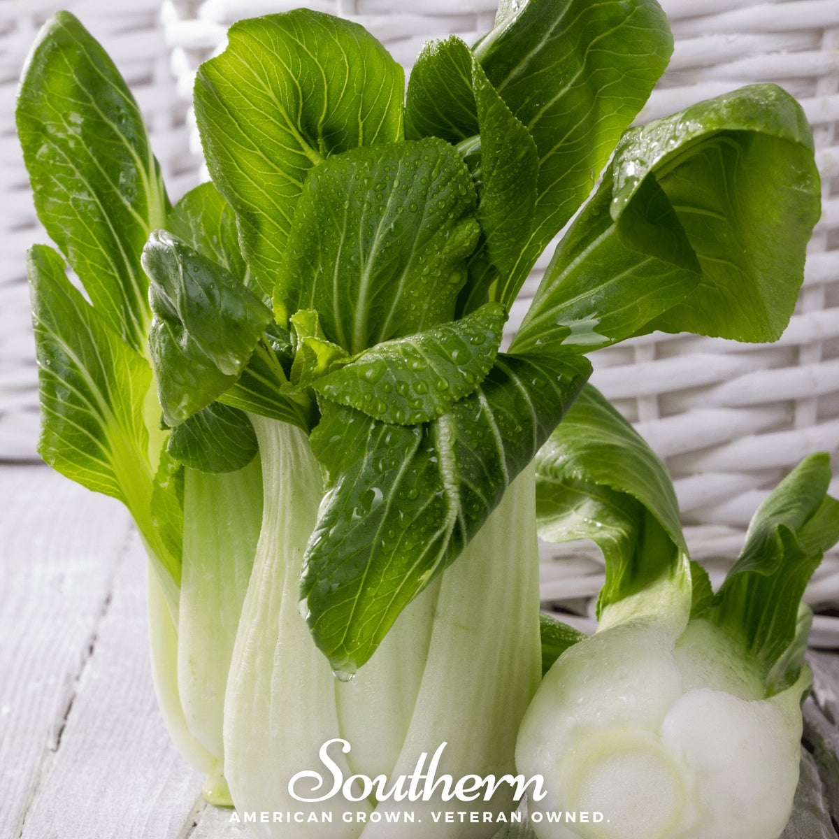 Canton Pak Choi Seeds - 100 Count - Brassica rapa var. chinensis - Organic Vegetable Gardening Seeds