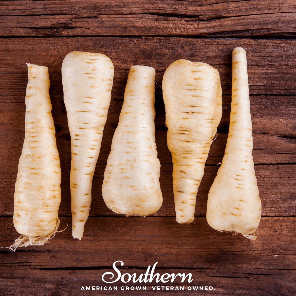 Harris Model Parsnip Seeds - 100 Count - High-Quality Organic Vegetable Seeds (Pastinaca sativa)