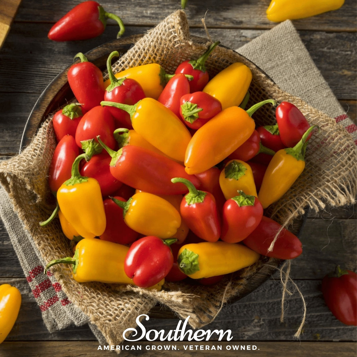 Lunchbox Sweet Pepper Seeds - 25 Count - Non-GMO, Colorful Mini Peppers, Capsicum annuum