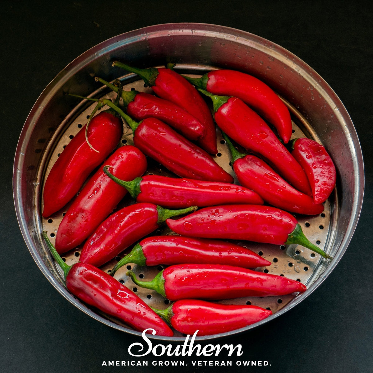 Tabasco Pepper Seeds - 50 Pack - Spicy Variety - Capsicum frutescens