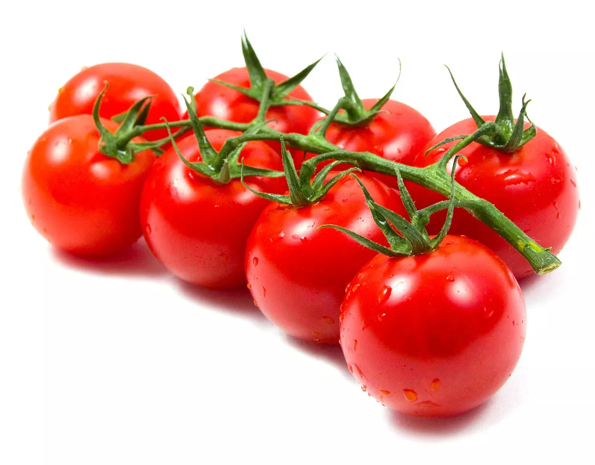 Large Cherry Tomato Seeds - Heirloom Variety - Solanum lycopersicum - Non-GMO - Perfect for Home Gardening - 20 Seeds