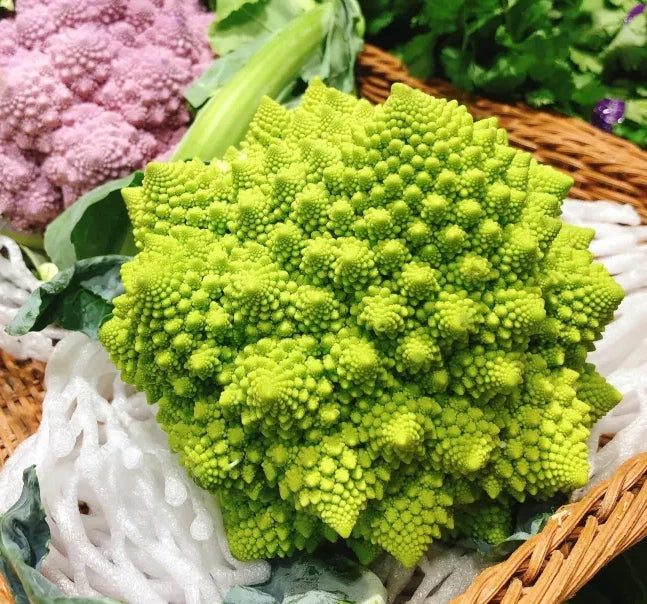 Romanesco Broccoli Seeds - 1000+ Count - Non-GMO Organic Heirloom - Brassica oleracea - Unique Fractal Shape for Home Garden