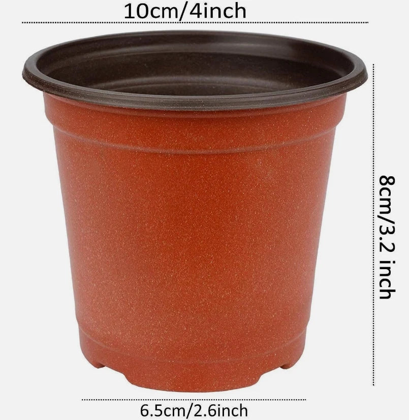 75 Pcs Nursery Pots for Succulent Seedlings and Cuttings, 3 Inch Plastic Plant Containers for Gardening Projects