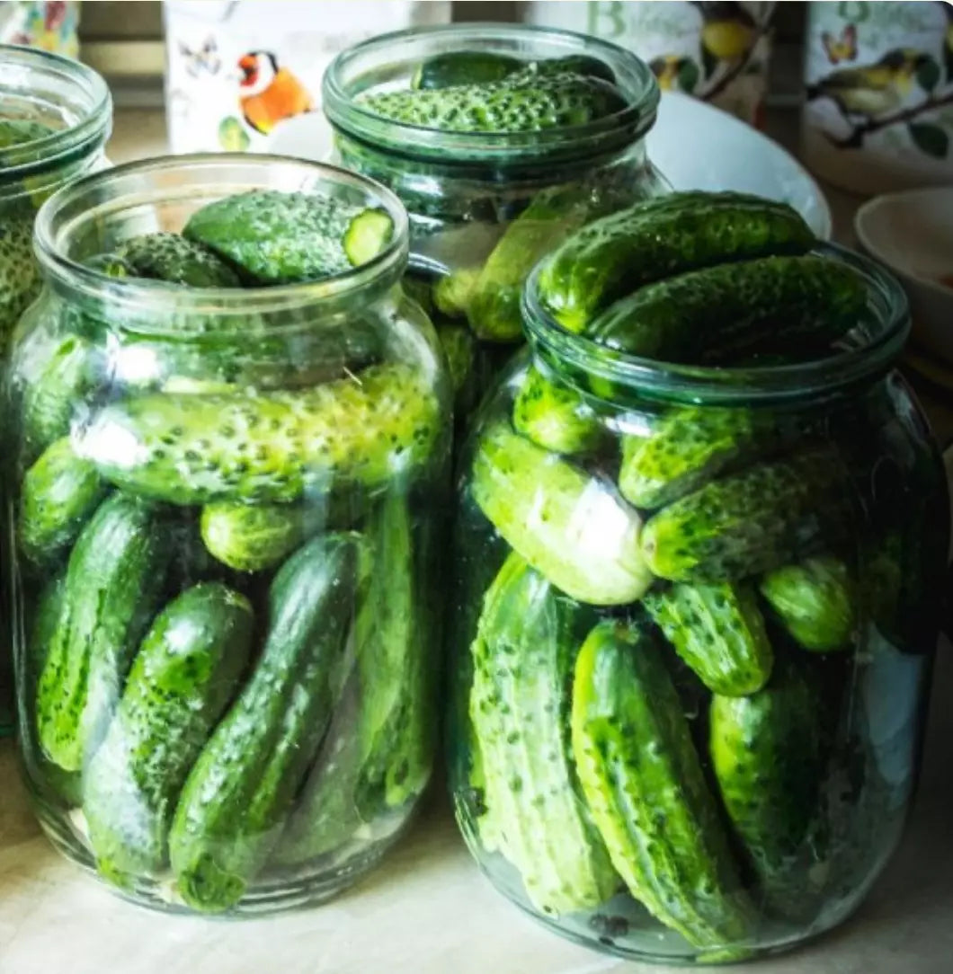 Boston Pickling Cucumber Seeds | 500 Non-GMO Seeds | Ideal for Pickling | Cucumis sativus
