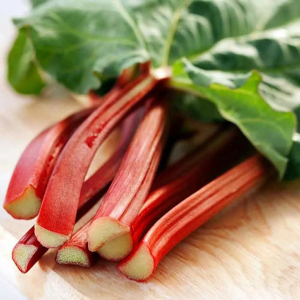 Victoria Red Rhubarb Seeds - 50 Count - Perennial, Easy to Grow - Rheum rhabarbarum - Vibrant Red Stalks for Culinary Use